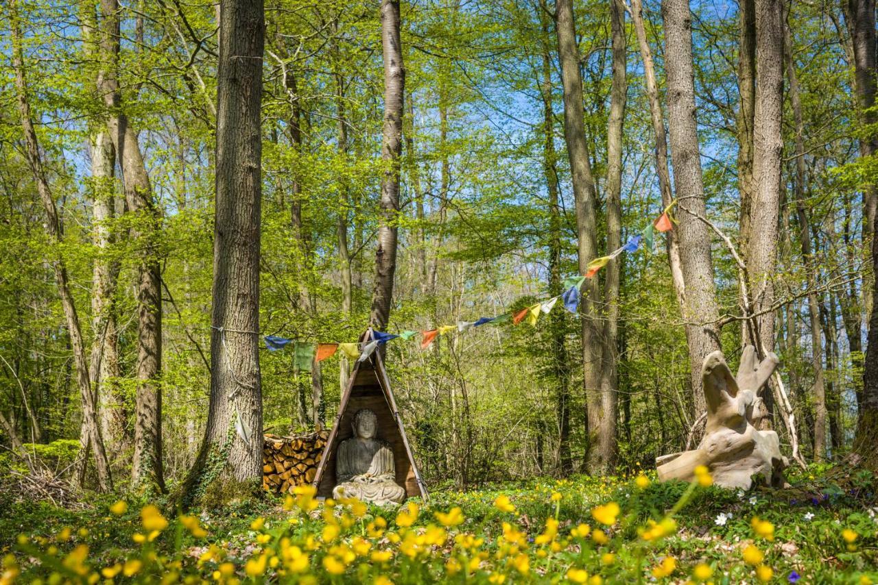 Gites Du Bois Des Perruches Saint-Vincent-des-Bois 外观 照片