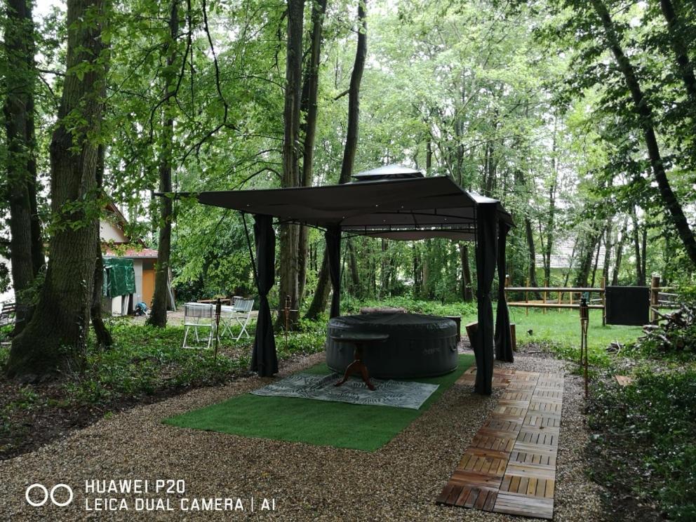 Gites Du Bois Des Perruches Saint-Vincent-des-Bois 外观 照片