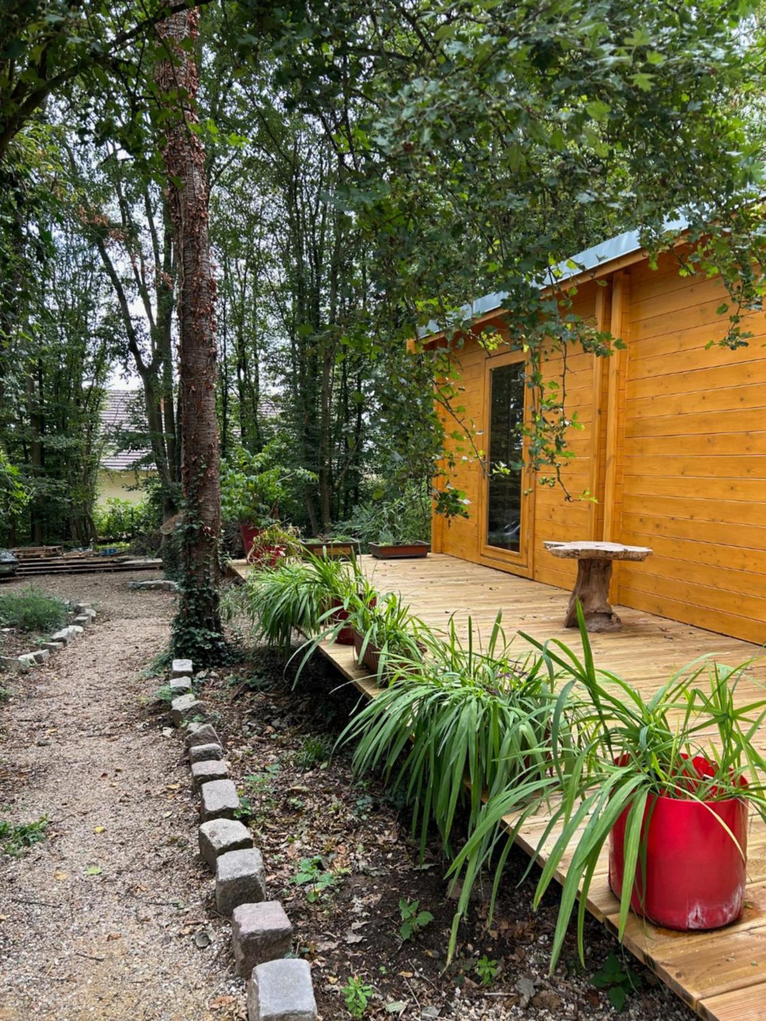 Gites Du Bois Des Perruches Saint-Vincent-des-Bois 外观 照片