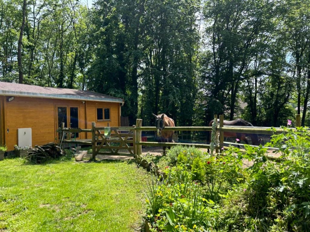 Gites Du Bois Des Perruches Saint-Vincent-des-Bois 外观 照片