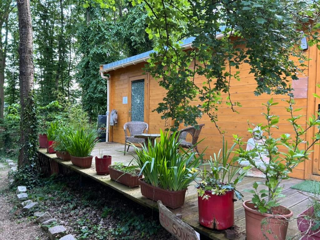 Gites Du Bois Des Perruches Saint-Vincent-des-Bois 外观 照片