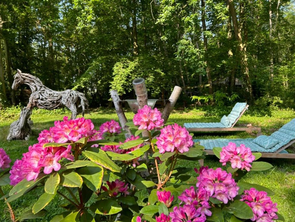 Gites Du Bois Des Perruches Saint-Vincent-des-Bois 外观 照片