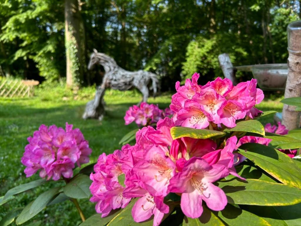 Gites Du Bois Des Perruches Saint-Vincent-des-Bois 外观 照片