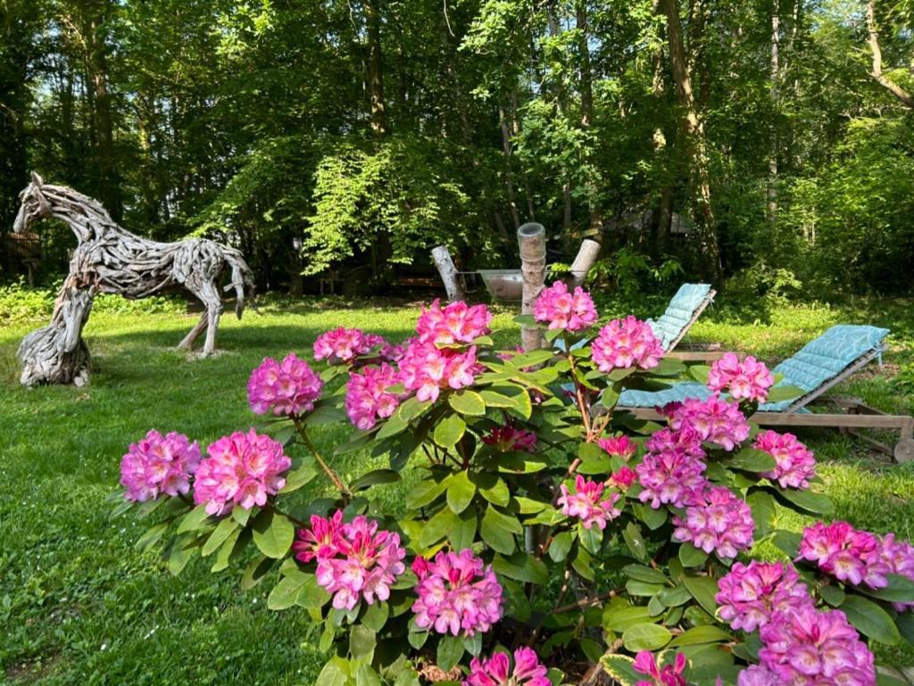 Gites Du Bois Des Perruches Saint-Vincent-des-Bois 外观 照片