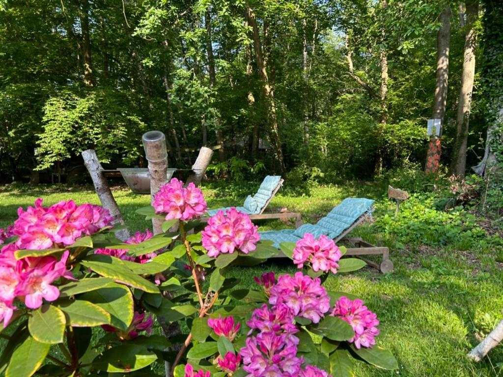 Gites Du Bois Des Perruches Saint-Vincent-des-Bois 外观 照片