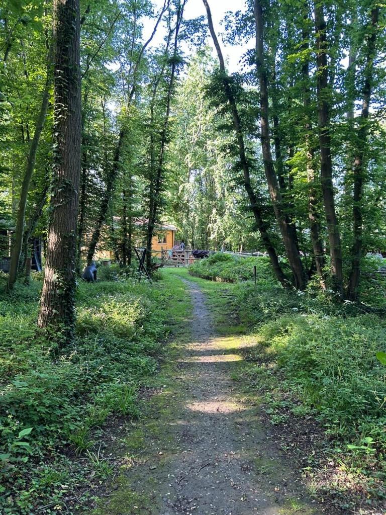 Gites Du Bois Des Perruches Saint-Vincent-des-Bois 外观 照片